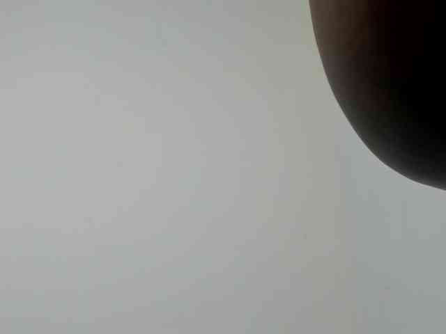 Ebony-Doll webcam