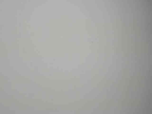 Ebony-Doll webcam