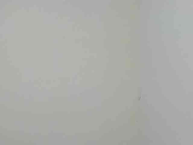 Ebony-Doll webcam