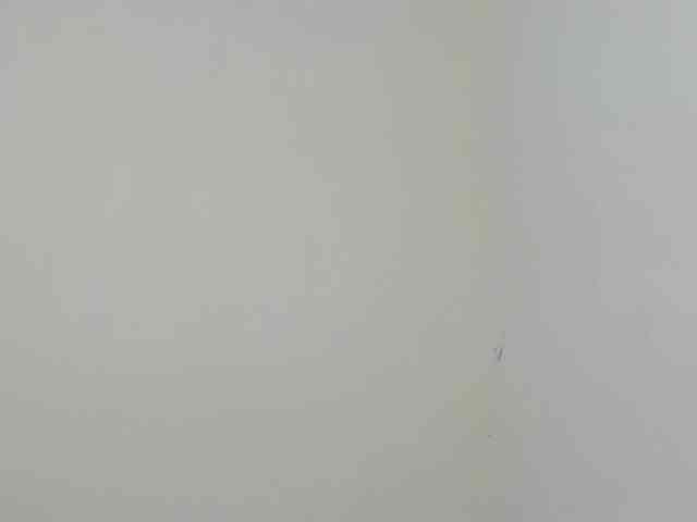 Ebony-Doll webcam