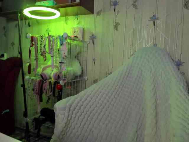 ElinaOcean webcam