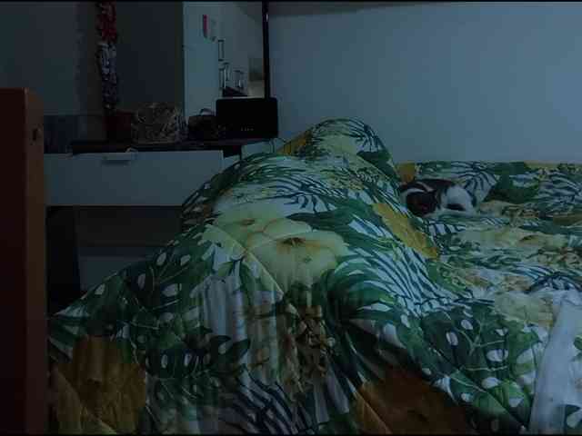 Eroticamente webcam