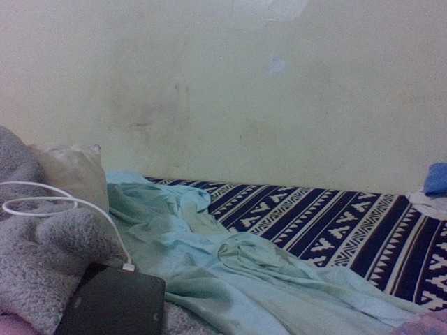 Vinsishly11