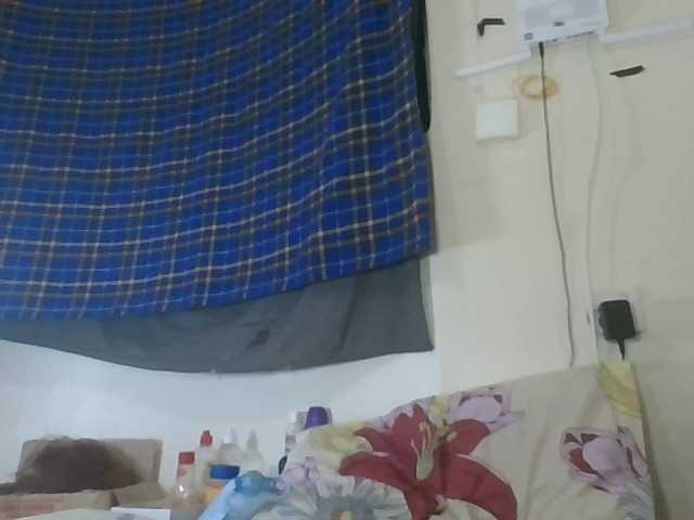 Vinsishly11