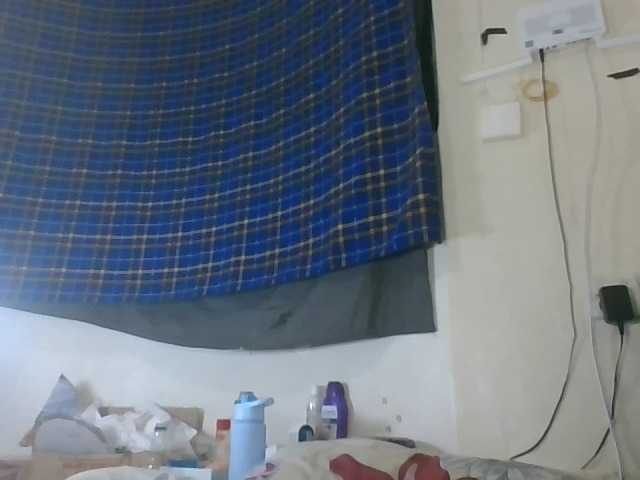 Vinsishly11