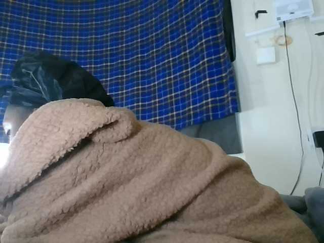 Vinsishly11