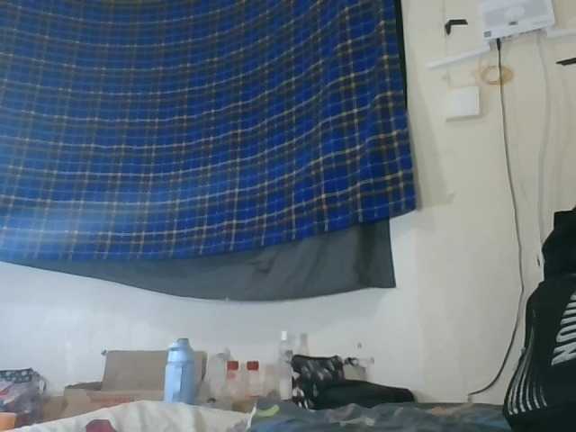 Vinsishly11