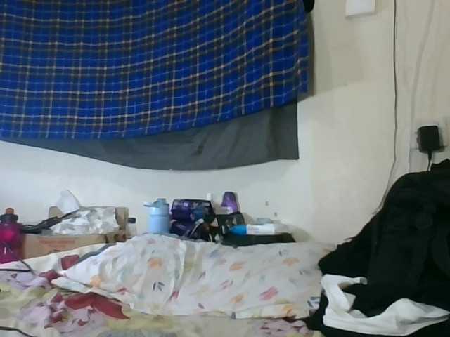 Vinsishly11