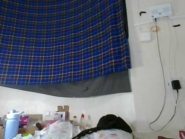 Vinsishly11