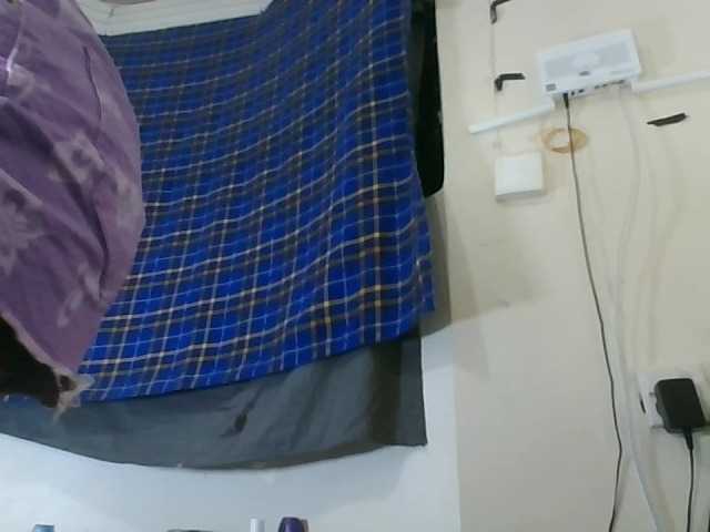Vinsishly11