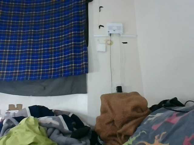 Vinsishly11