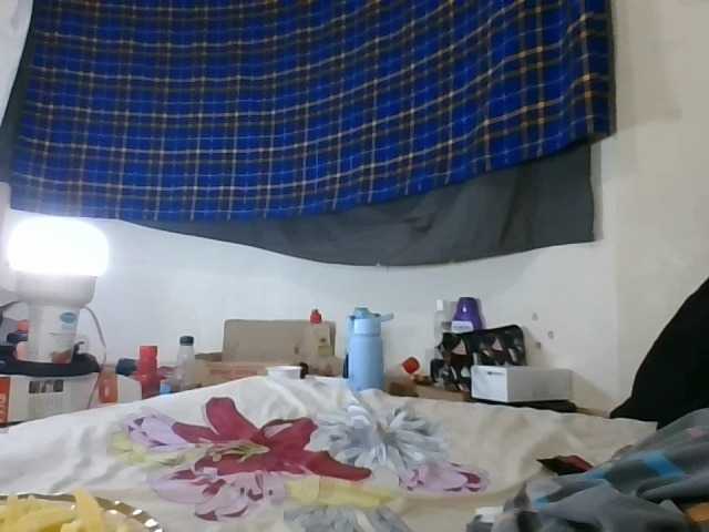 Vinsishly11