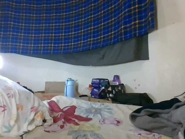 Vinsishly11