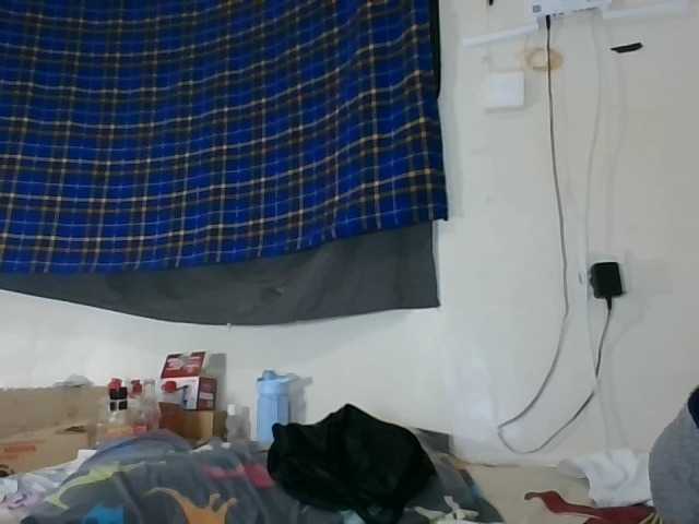 Vinsishly11