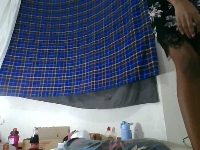Vinsishly11
