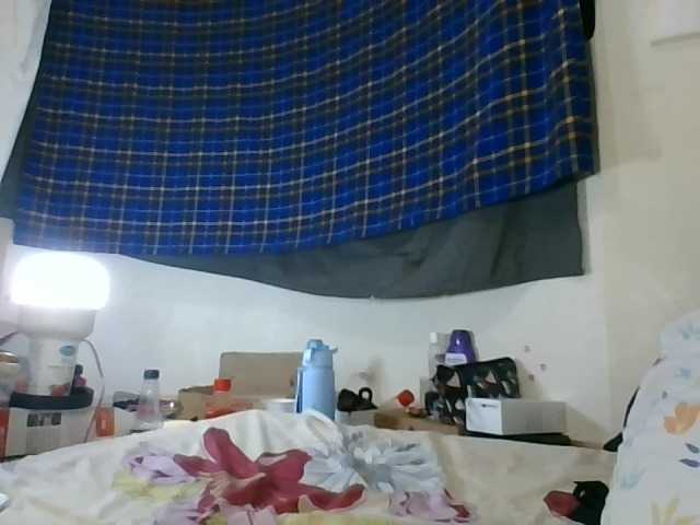 Vinsishly11