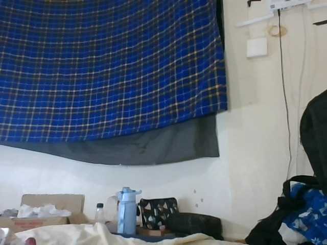 Vinsishly11