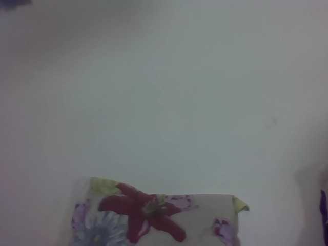 Vinsishly11