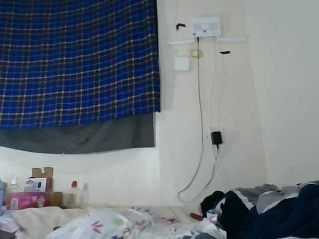 Vinsishly11