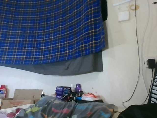 Vinsishly11