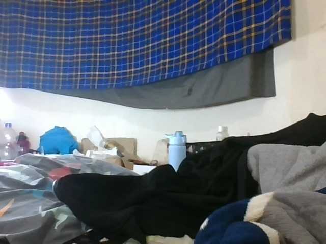 Vinsishly11