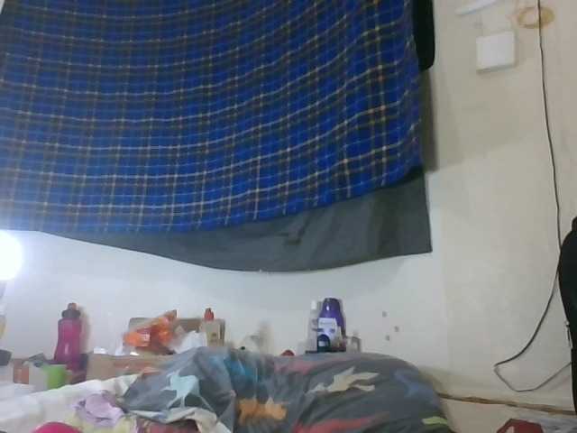 Vinsishly11