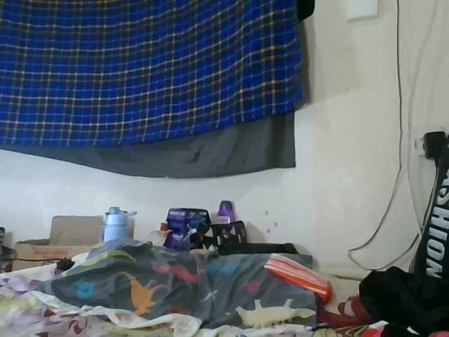 Vinsishly11