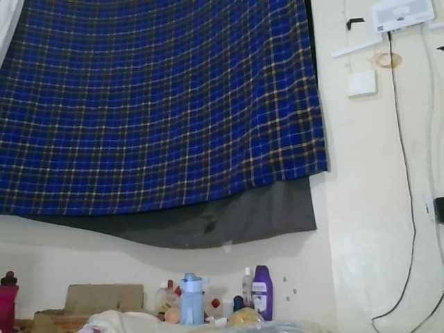 Vinsishly11 live cam on BongaCams