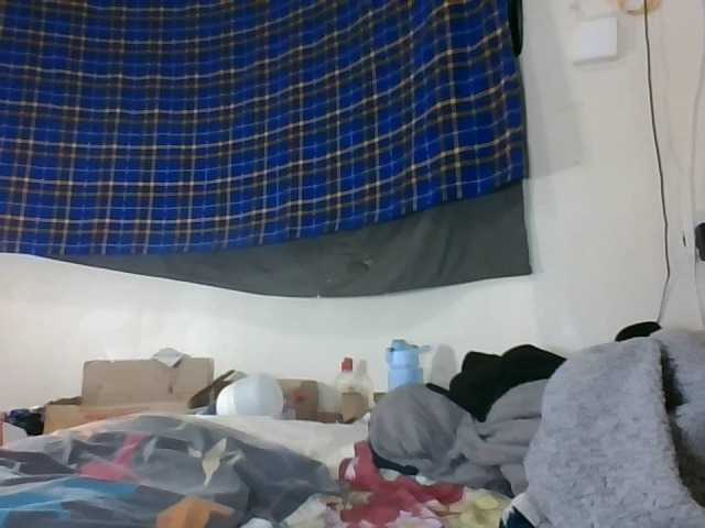 Vinsishly11