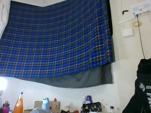 Vinsishly11