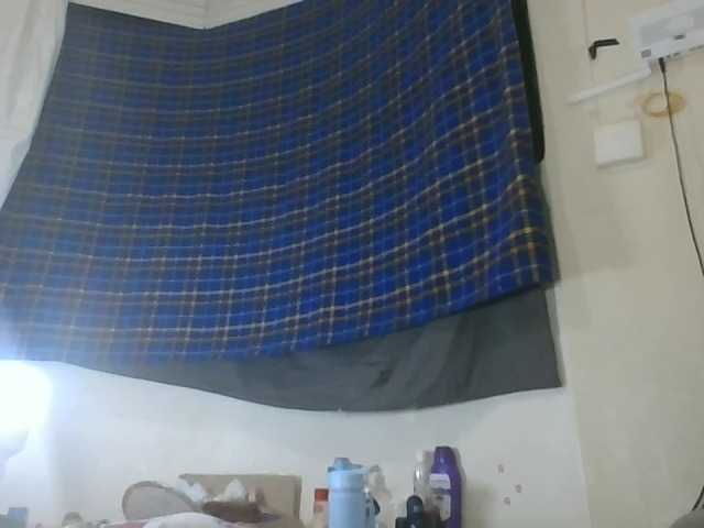Vinsishly11