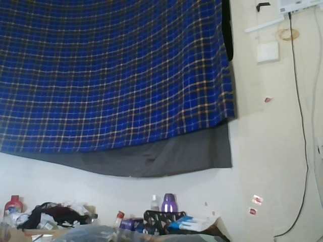 Vinsishly11