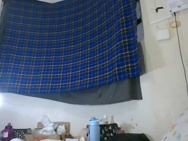 Vinsishly11