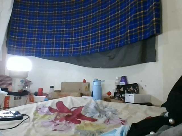 Vinsishly11