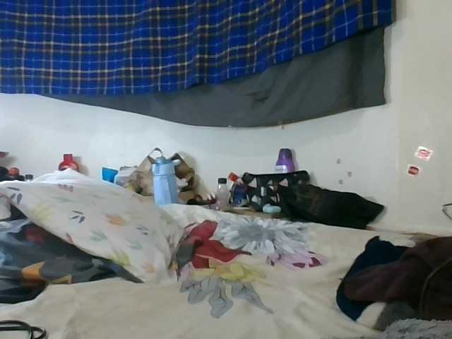 Vinsishly11