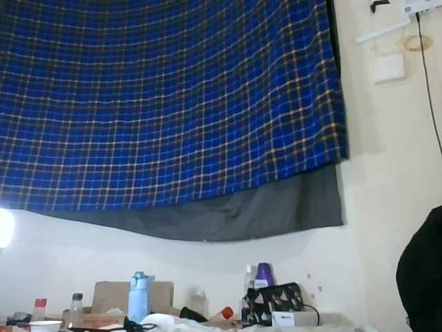 Vinsishly11