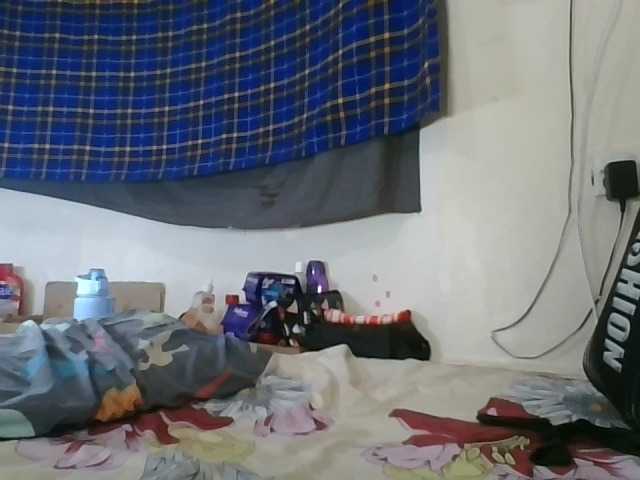 Vinsishly11, en vivo ahora en BongaCams