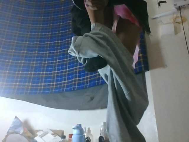 Vinsishly11