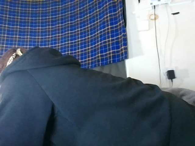 Vinsishly11