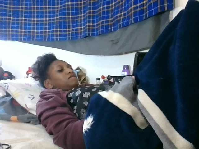 Vinsishly11