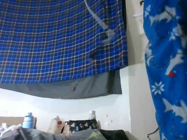 Vinsishly11