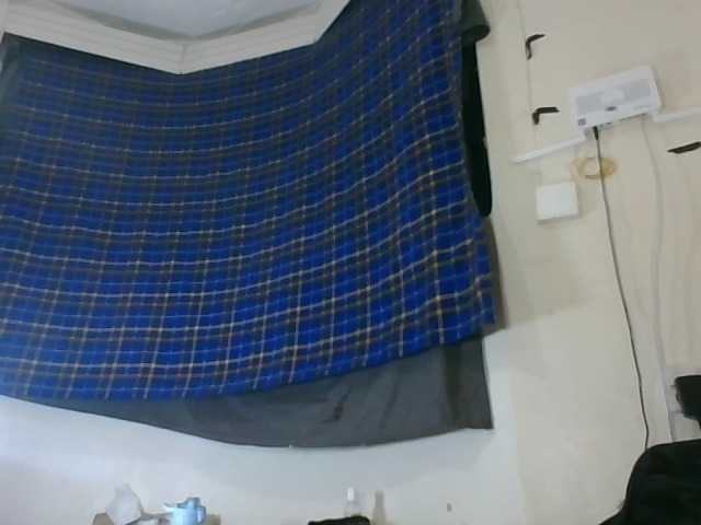 Vinsishly11