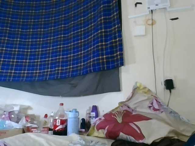 Vinsishly11