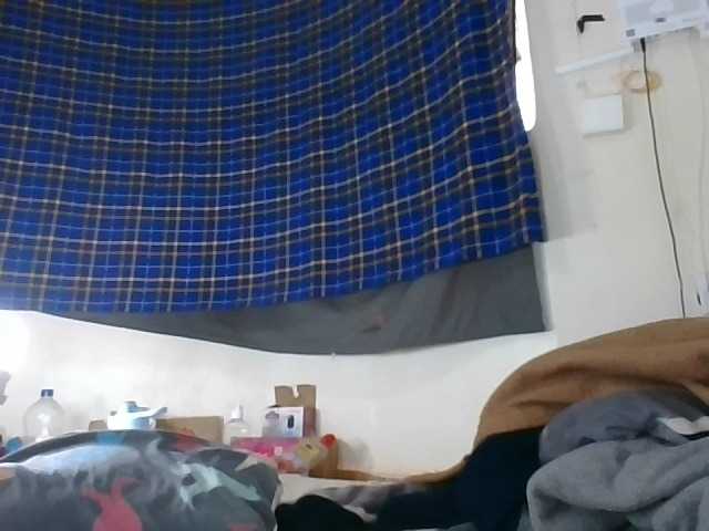 Vinsishly11