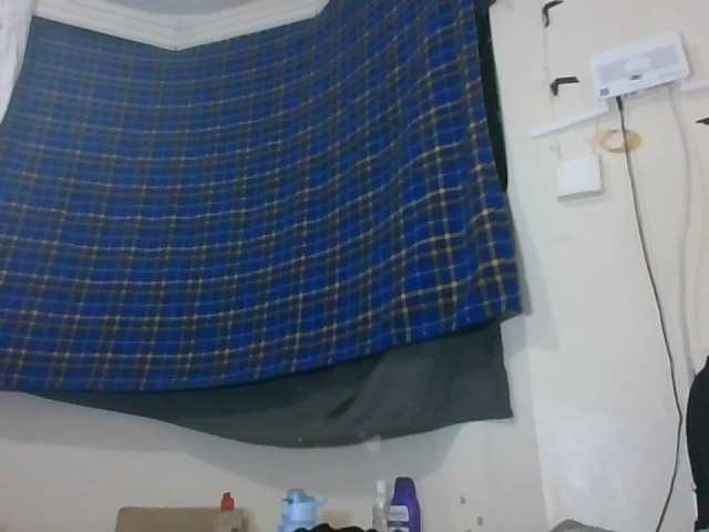 Vinsishly11