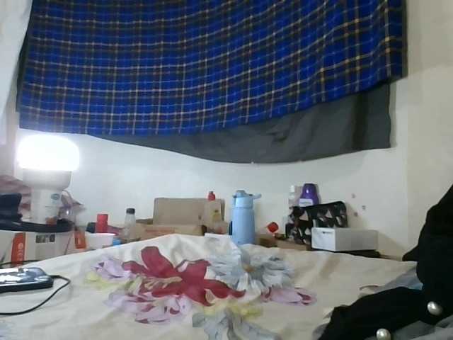 Vinsishly11