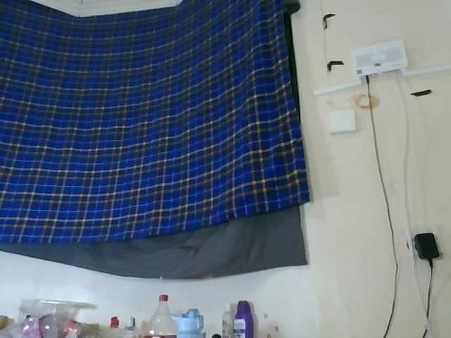 Vinsishly11