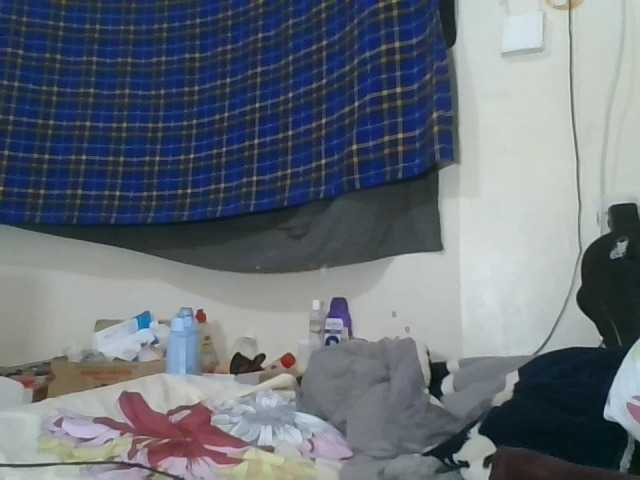 Vinsishly11