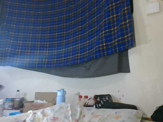 Vinsishly11