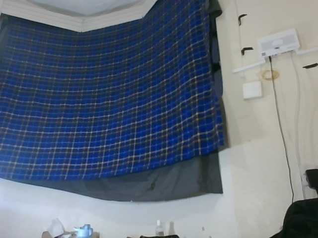 Vinsishly11